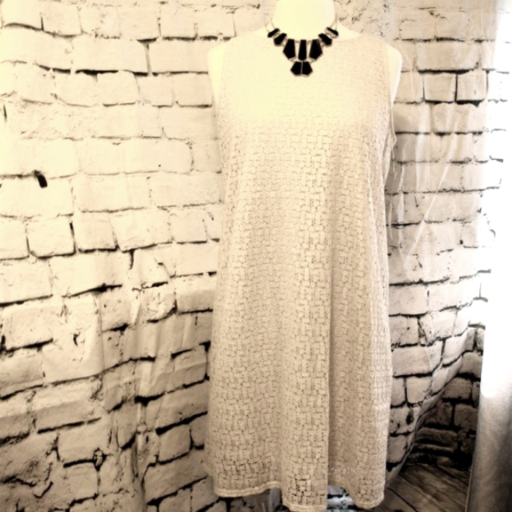 🎁👍 NWT! Tiana B. Ivory lace overlay dress sz 10
